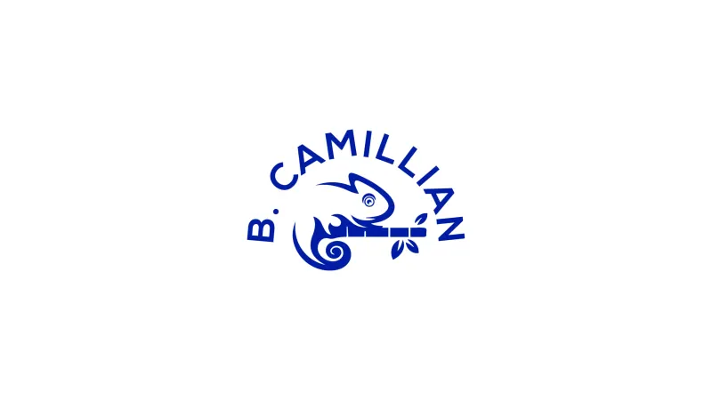 B. Camillian logo