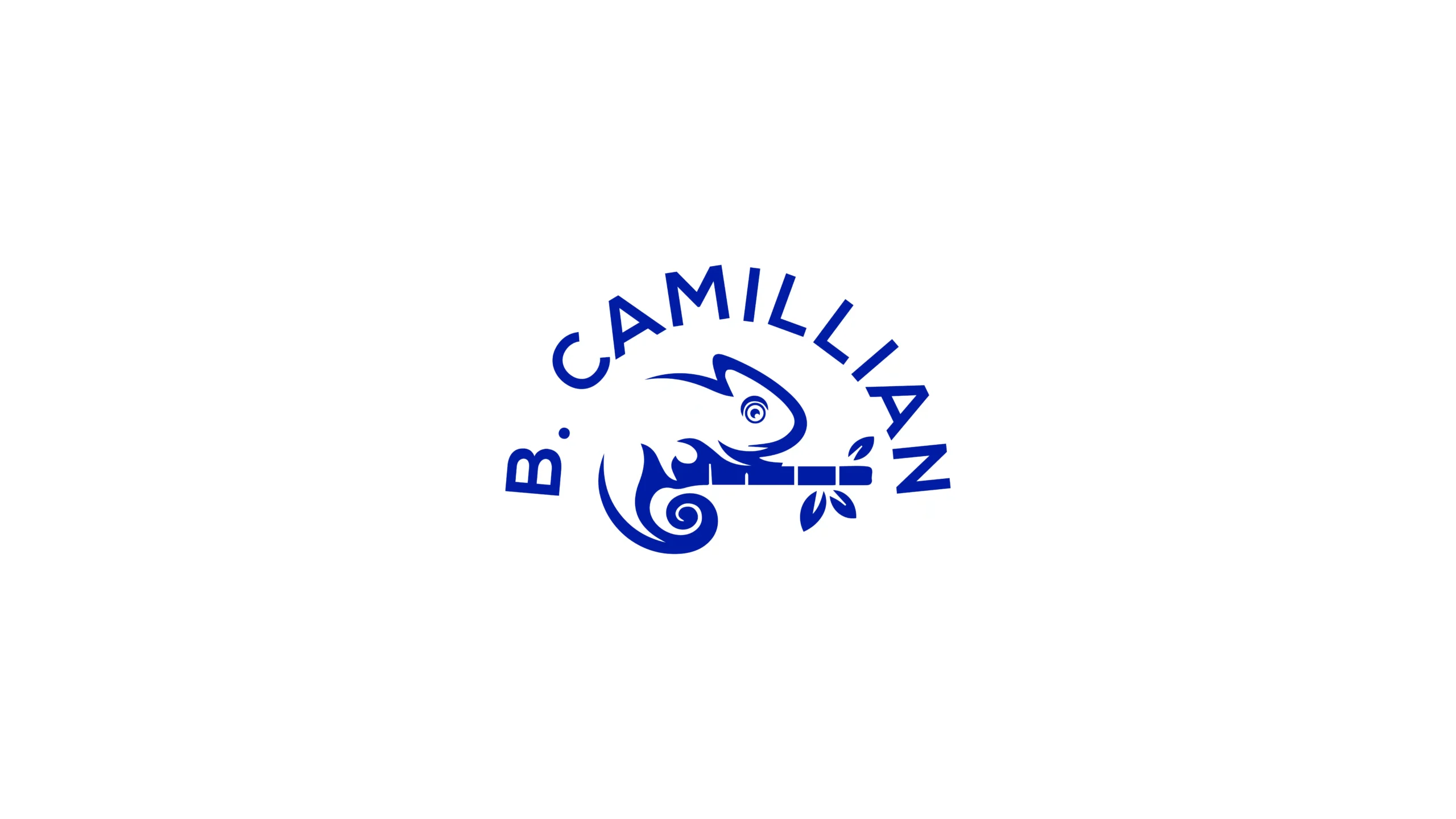 B. Camillian logo, view 1