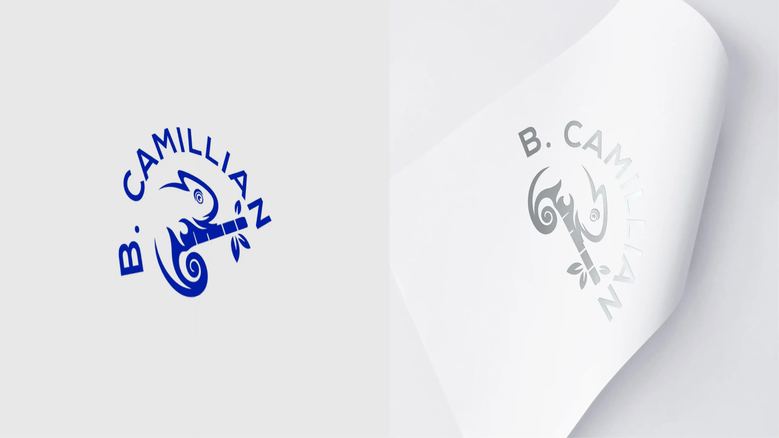 B. Camillian logo, view 3